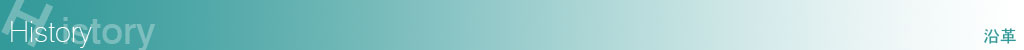 qXg[(v)
